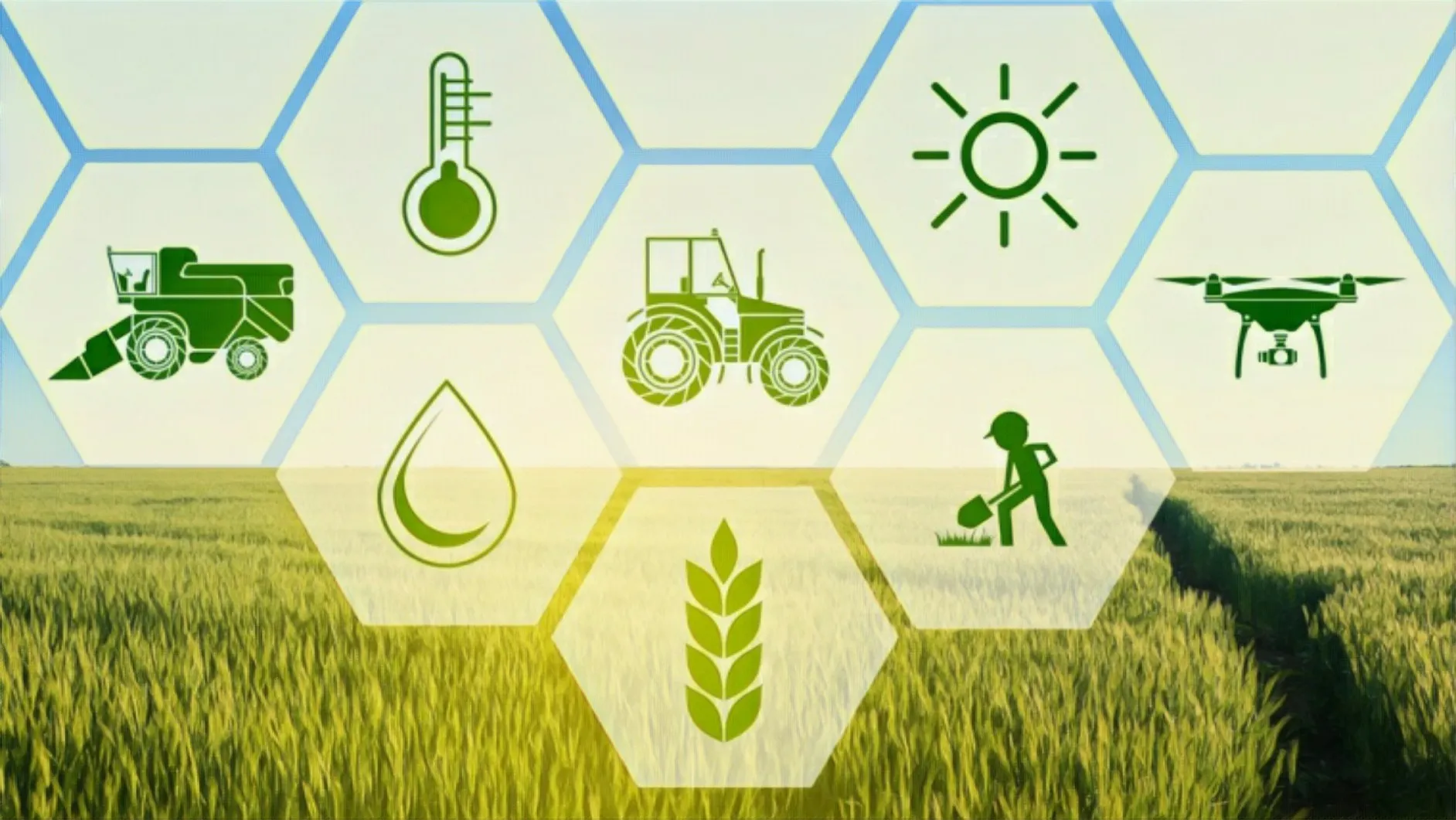 پتانسیل IoT در کشاورزی و صنایع غذایی
